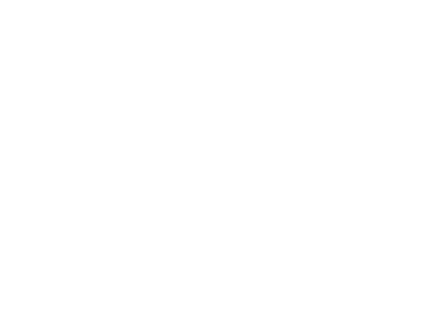The Marketizer